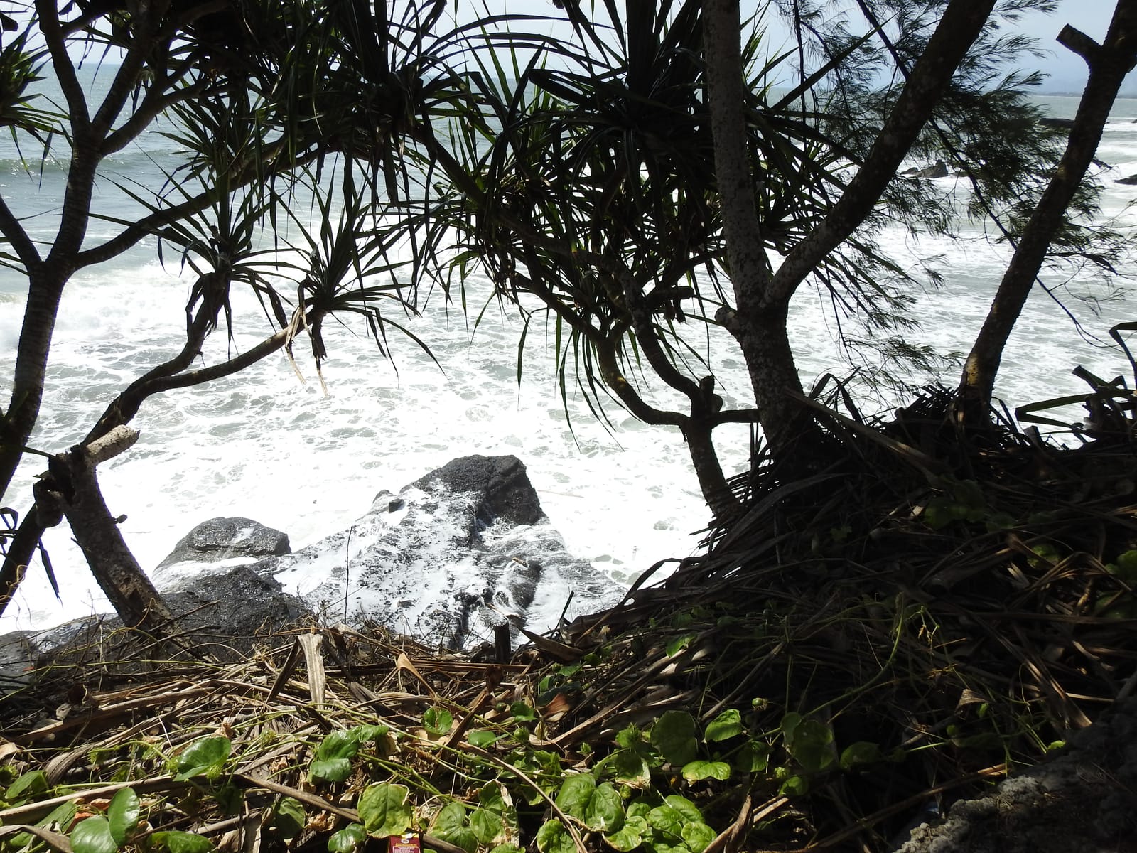 La côte sauvage de Bali